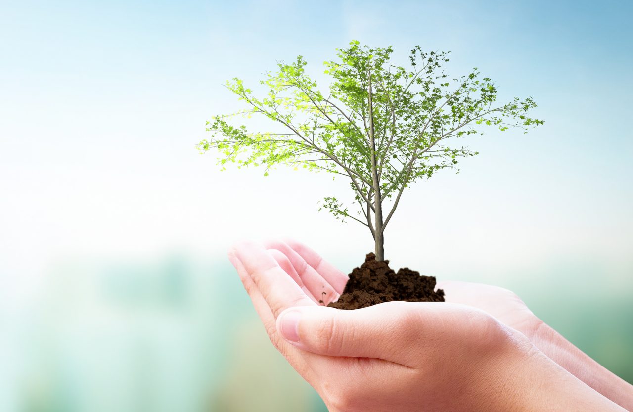 Earth Day concept: hands holding Corona virus or COVID-19 Earth globe wearing a mask  and  tree over  nature background. Elements of this image furnished by NASA